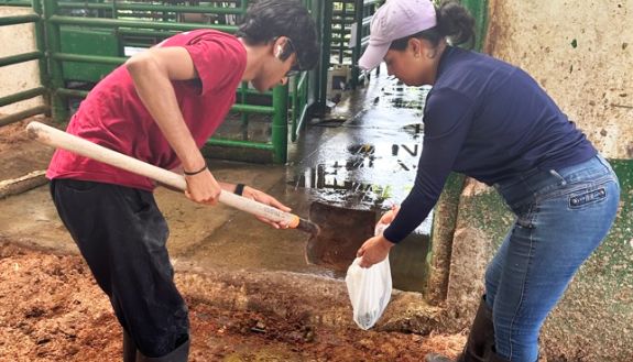 Dhruv Rungta and Allison Damaris Sanchez Tejada cleaning cow dung