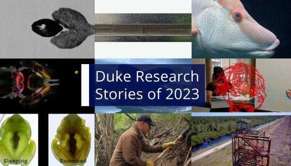 A collage of research focus pictures as a placeholder for the Duke Research Stories of 2023 video