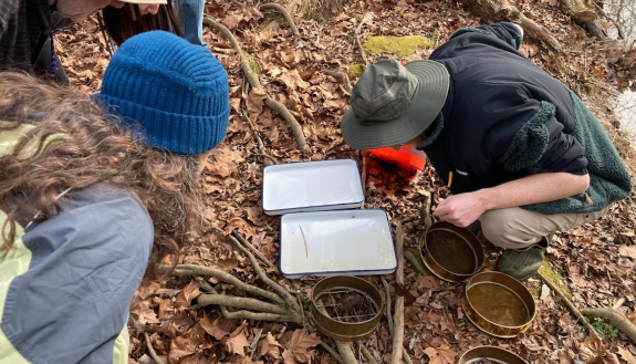 Jonny Behrens looks for aquatic macroinvertebrates with Duke Forest Research Tour participants.