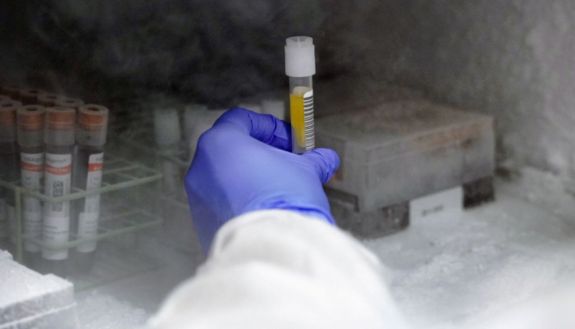 Duke lab worker handling vial in a freezer