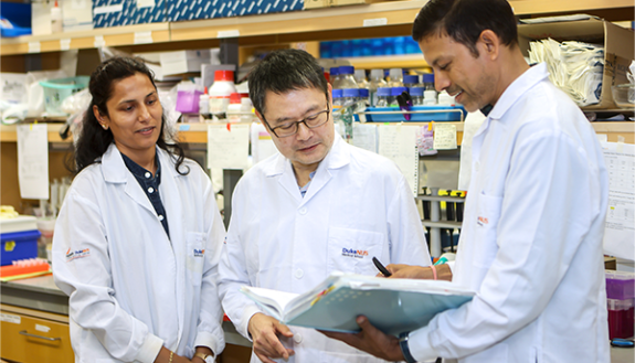 Paul Yen, MD, professor at Duke-NUS Graduate Medical School in Singapore in the lab with Madhulika Tripathi, principal research scientist, left, and Brijesh Kumar Singh, assistant professor, right. (Duke-NUS Communications)