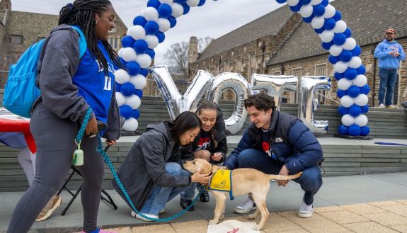 Three students bend down to pet a yellow lab puppy wearing a yellow vest, while one student holds the leash. Behind the students is an arch made of blue and white balloons and silver balloons spelling "Vote"