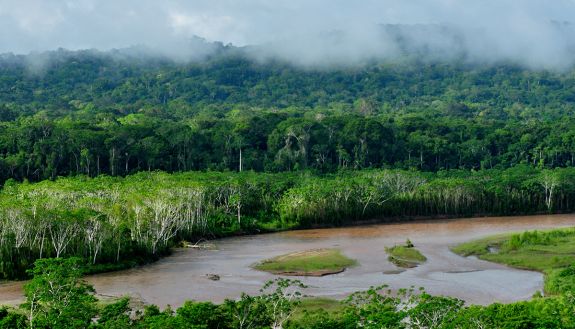 Madidi National Park in Bolivia