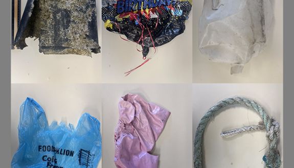 Typical plastic beach trash that was collected and used in an acoustic study: jugs, balloons, bag and rope