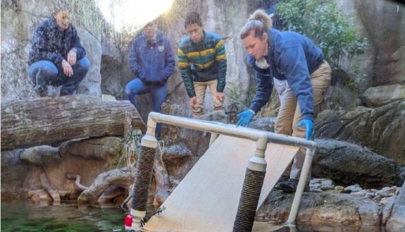 engineering students build enrichment area for otters at NC Zoo