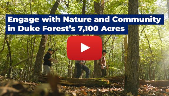 Volunteers for Duke Forest walk through the woods while on their way to collect data for research projects.