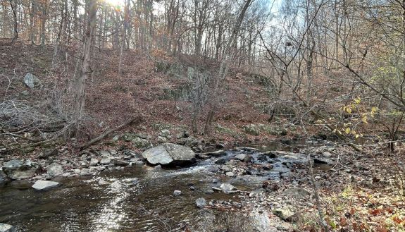 stream runs through Duke Forest