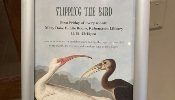 Flipping the Bird promotional poster