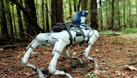 Robot dog running in the wild
