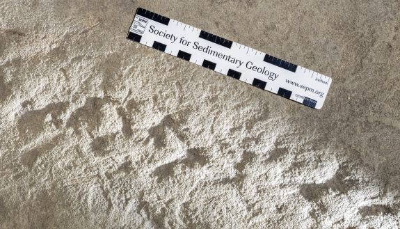 Indentations in a paver stone