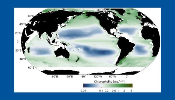 map of how the ocean is changing colors