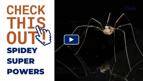 Check this out: Spidey Super Powers