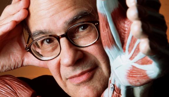 Duke biologist Steven Vogel in 2002. Vogel was the author of ten books, on topics ranging from the workings of the circulatory system and the design of leaves to the biomechanics of muscle. Photo by Les Todd, Duke Photography.