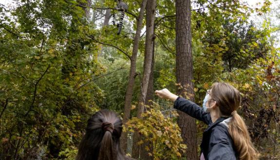 Ph.D. candidate Caroline Shearer (right) and one of her undergraduate students observe a ring-tailed lemur at the Duke Lemur Center.
