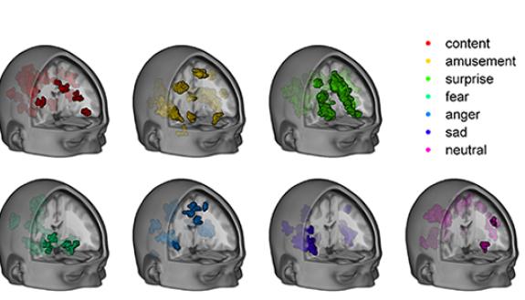An algorithm determined different patterns of brain activity that mapped to different emotional states.