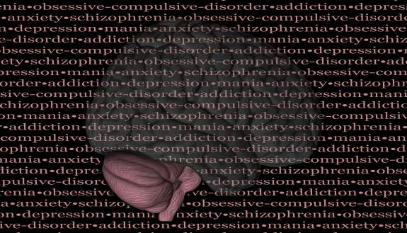 Duke researchers have linked specific differences in the brain's cerebellum (pink) and pons to increased risk for multiple forms of mental disorder. 