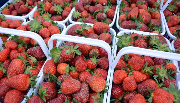 The market runs from 11 a.m. to 2 p.m. every Friday through Sept. 28. 