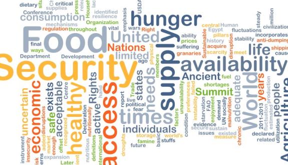 word graph related to food insecurity