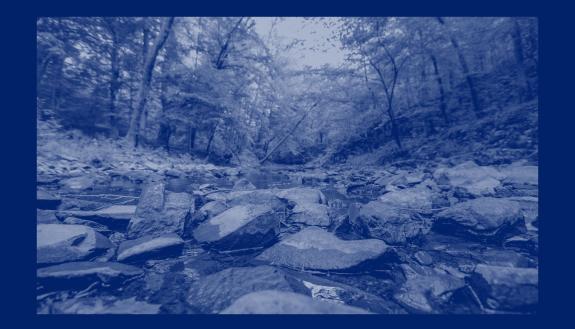 Sharp rocks in a stream with trees surrounding the edges. The image has blue filter.