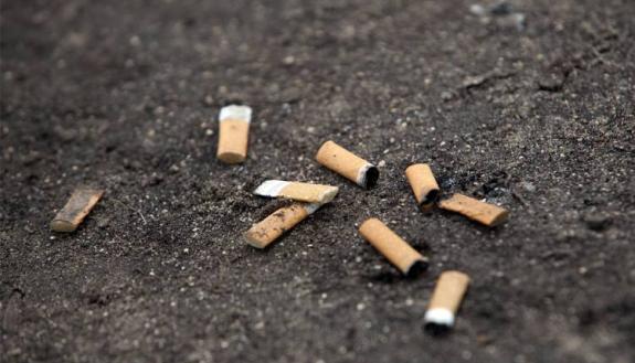Pick-up tobacco cessation information around campus during The Great American Smokeout