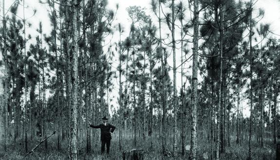 From its earliest days in the 1930s, Duke Forest offered researchers an opportunity to see how forests grow and evolve. Photo: Duke Forest.