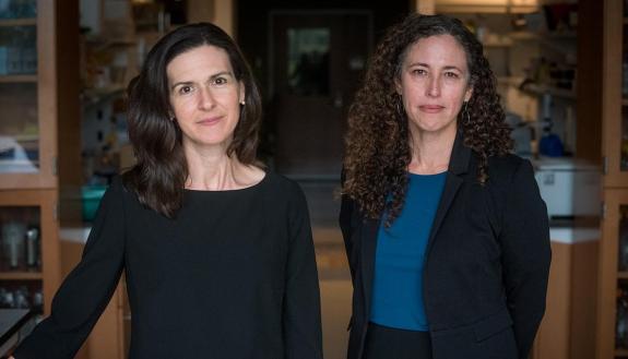 Cancer researchers Meira Epplein and Katherine Garman