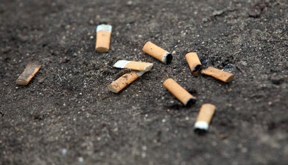 Attend a July 12 event to get tobacco cessation resources and prepare for the University’s smoke-free policy