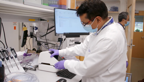 Antibodies discovered