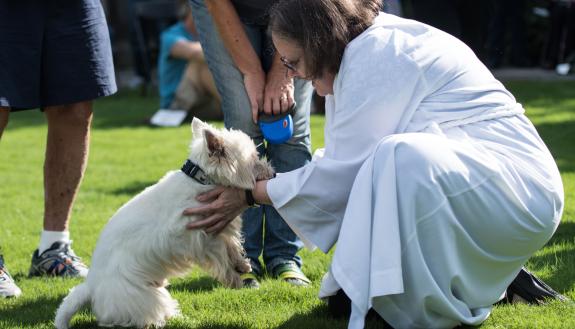 Duke Chapel's Blessing of the Animals service inspired by a medieval monk.