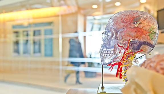 undergrad explores hefty questions about morality and memory