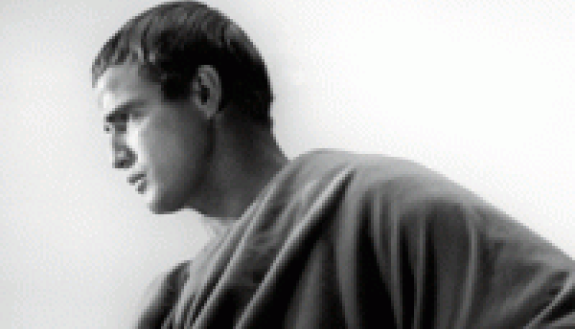 Marlon Brando as Mark Antony