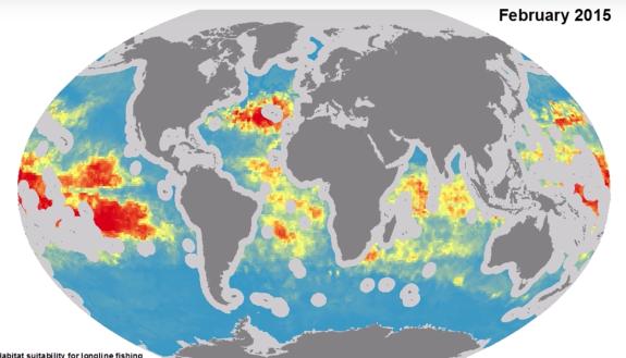 New models use 14 environmental variables to predict month-by-month locations of longline fishing fleets and help prevent their accidental bycatch of sharks, seabirds and other species. (Credit: Duke Univ. Marine Geospatial Ecology Lab)