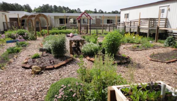 The class fee for the OLLI science seminars will fund DURO projects such as the vegetable garden at Lakewood Elementary.