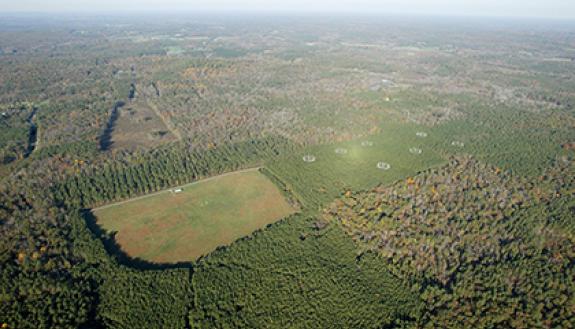 An aerial shot of Duke Forest shows the vast array of trees growing across Duke's campuses and property. The Campus Sustainability Committee has organized a group in 2015 to focus on natural landscapes. Photo courtesy of Mark Hough.