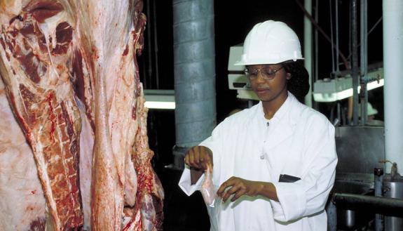 Gabriel Rosenberg: The Meat Industry’s Bestiality Problem