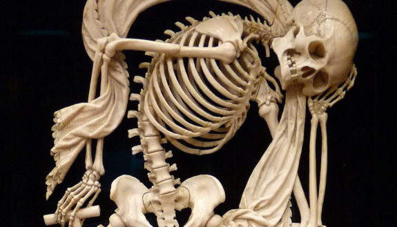 sad looking skeleton in duke library collection