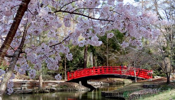 Sarah P. Duke Gardens’ iconic red bridge has been named the Meyer Bridge