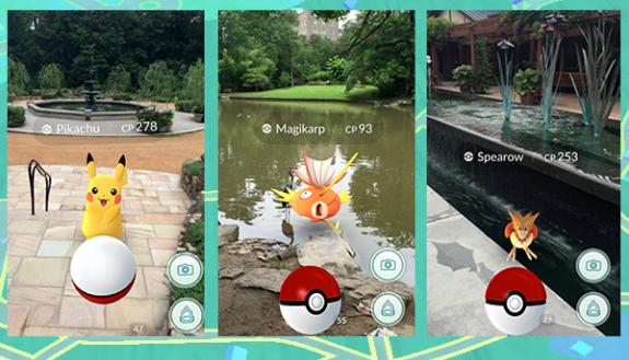 Participants in LIVE FOR LIFE's Pokemon walk will have the chance to catch a variety of animals at Sarah P. Duke Gardens, including the popular Pikachu.