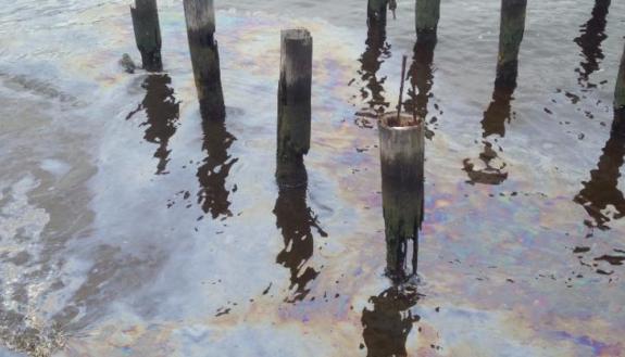 The Elizabeth River. Photo: Savannah Volkoff