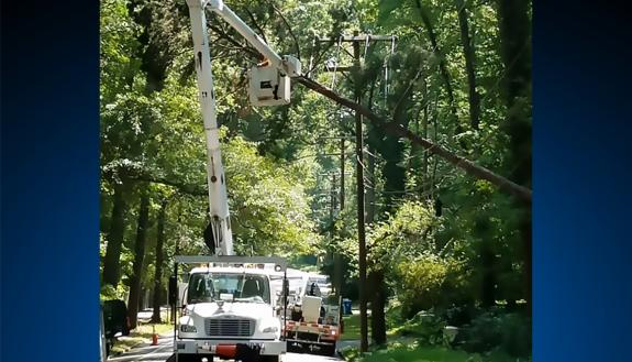 A tree fell across Anderson Street on Wednesday, knocking out power.