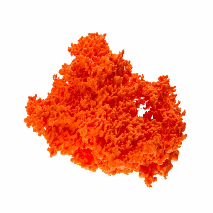 An orange 3-D-printed astrocyte cell