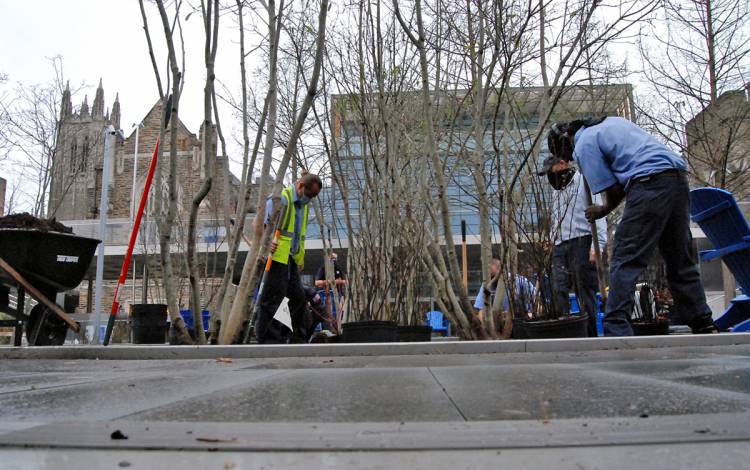 A team from Duke Facilities Management's Landscape Services unit works on a planter in Crown Commons. Photo by Stephen Schramm.