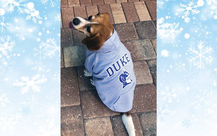 Duke Dog Hoodie