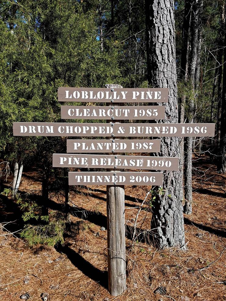 A sign offers history and context. Photo: Duke Forest.