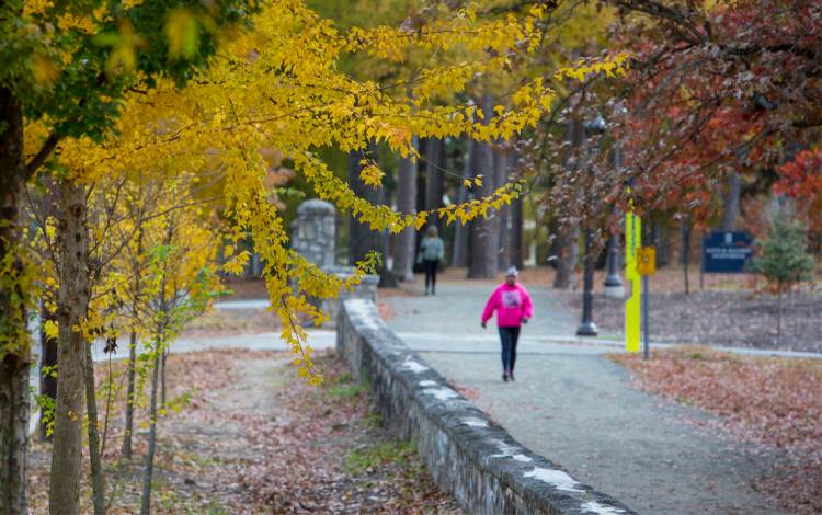 Getting up walk for at least 10 minutes, twice a day can help you keep your energy up. Photo courtesy of University Communications.