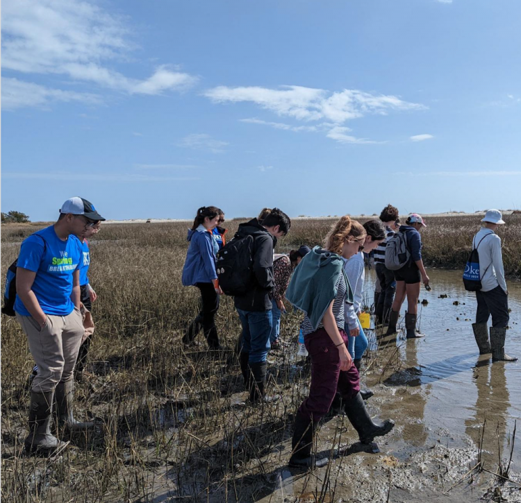 Students walking through the muck