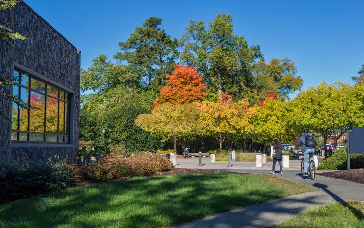 Duke's campus is home to more than 17,000 trees. Photo courtesy of University Communications.