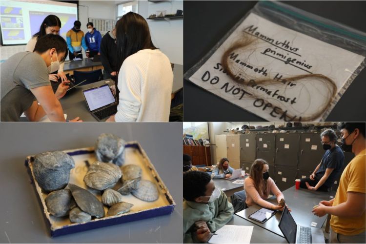 Students in Evolving Earth and Life lab course look at specimens including shells, stones and mammoth hair.