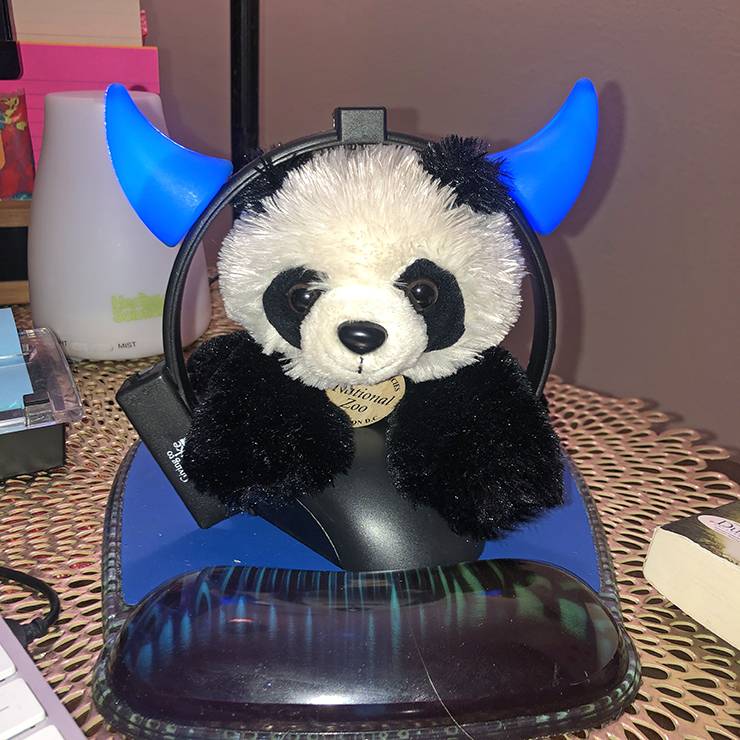 Nicole Ponticorvo purchased the toy panda, named Penny P, at the Smithsonian's National Zoo. Photo courtesy of Nicole Ponticorvo.