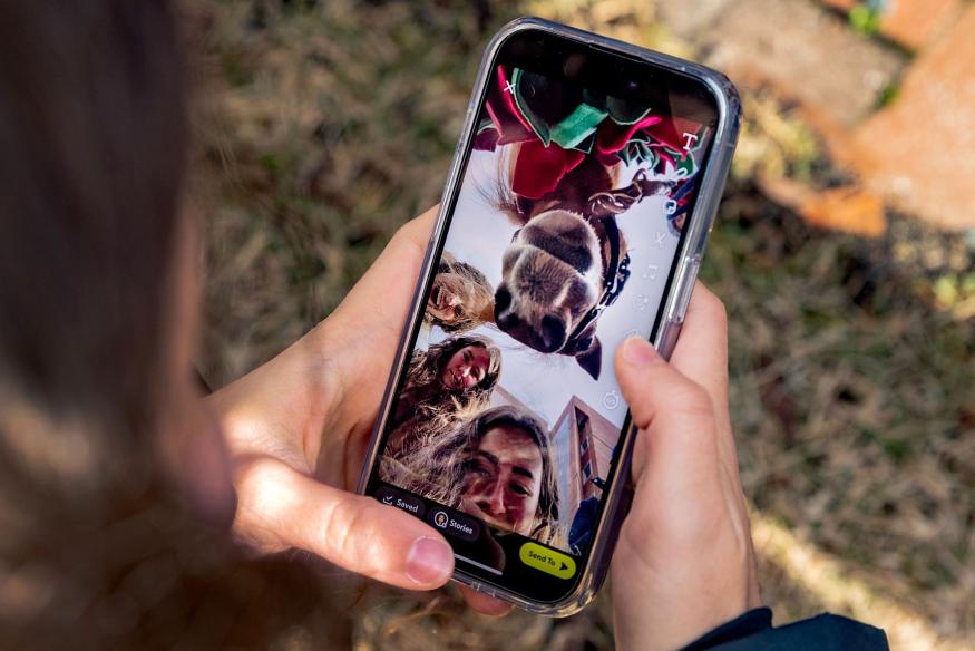 students take a selfie with a therapy horse